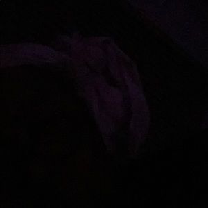 Meet your Posher, Bernadene